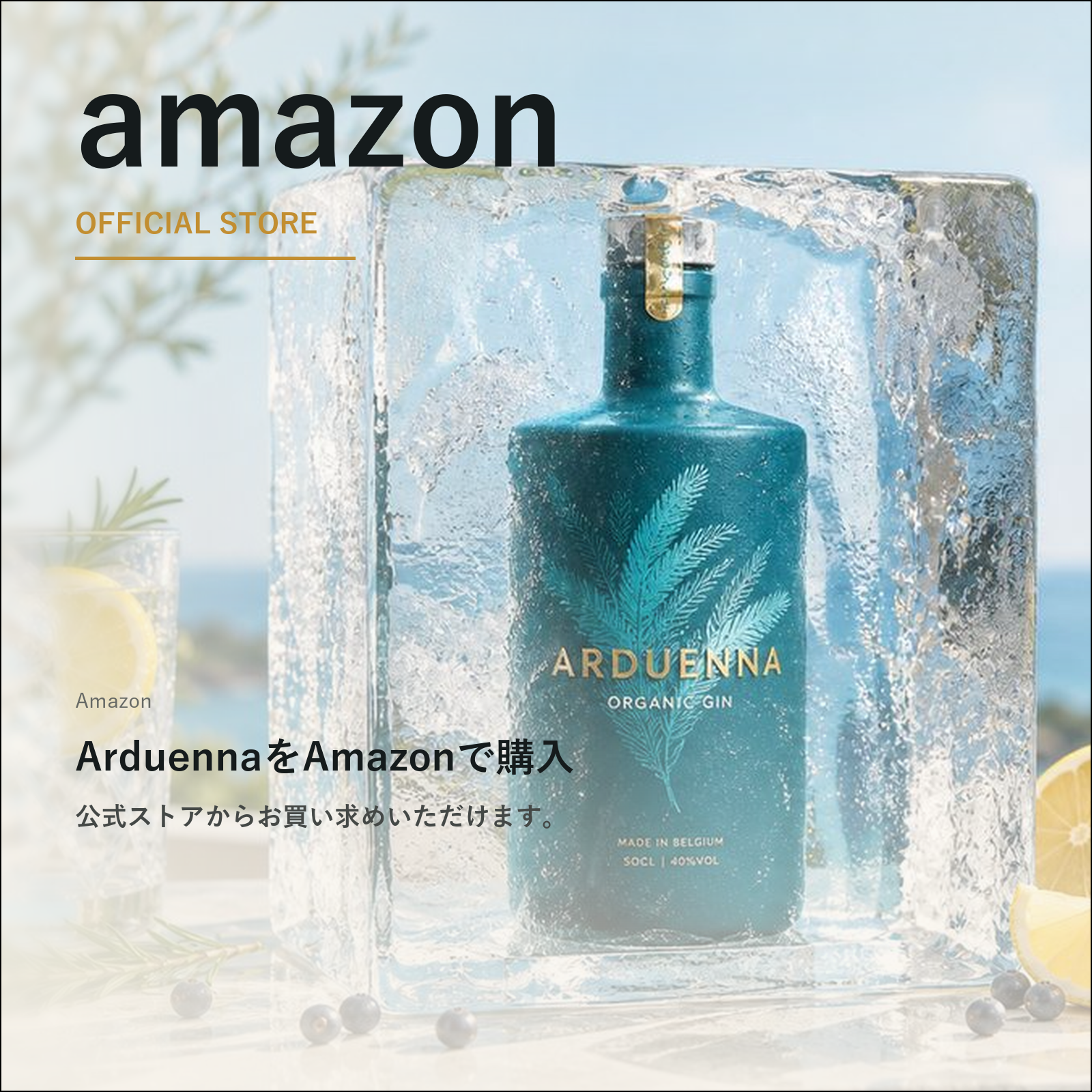 ArduennaをAmazonで購入